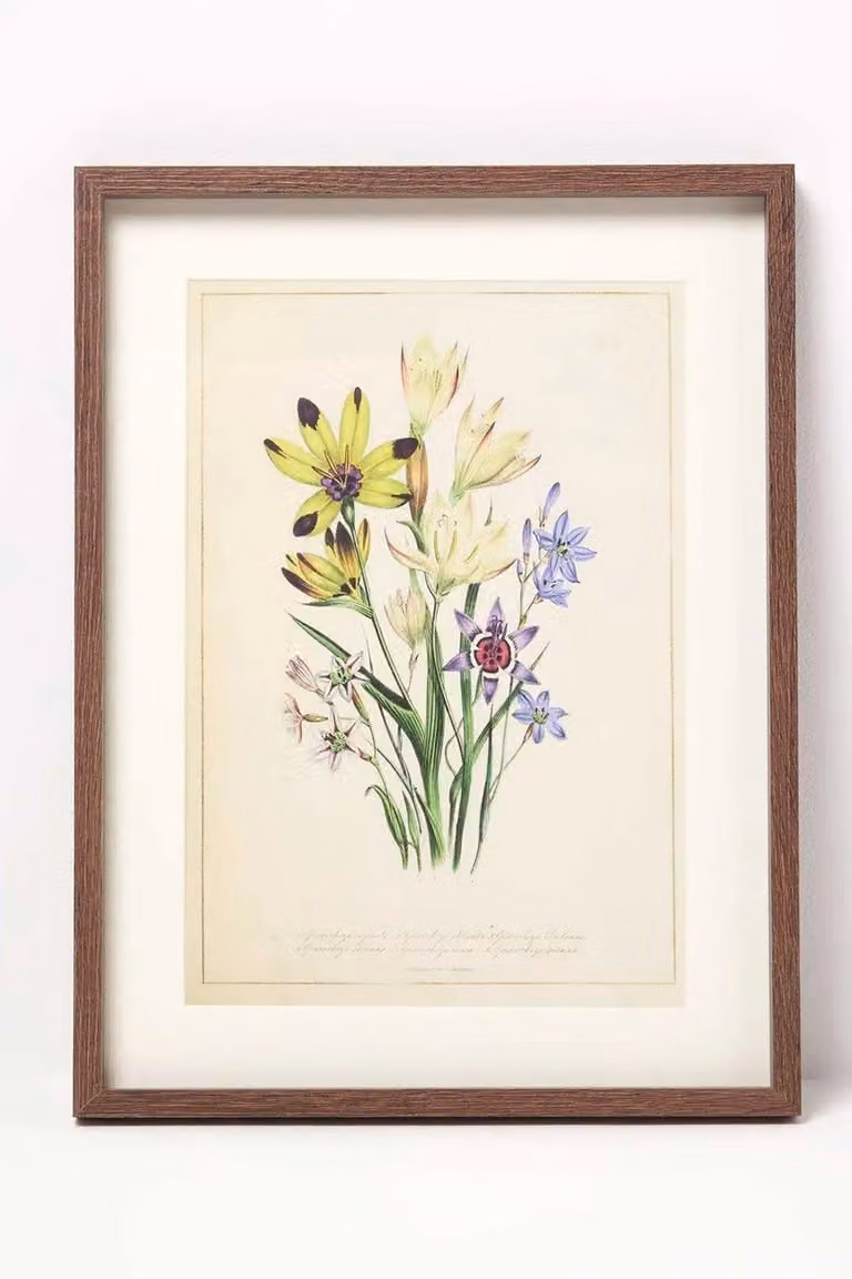 Homescapes Floral Wall Art Set of 3 Framed Botanical Prints, Multicolour, W/H: 30 x 40 cm