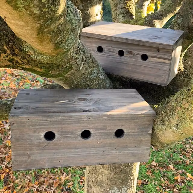 Sparrow Colony Terrace Wooden Nesting Box - Brown
