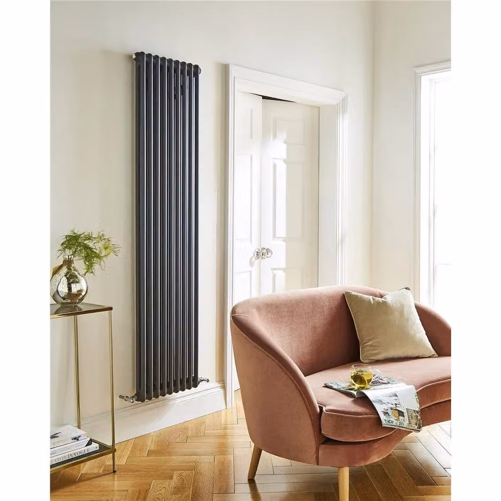 Clifton Anthracite Vertical Radiator with 2 Columns, H x W: 180 x 51.5 cm – 2