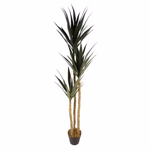 Leaf Design UK Artificial XL Triple Yukka Tropical Tree in Green and Black, Height: 170 cm – 1