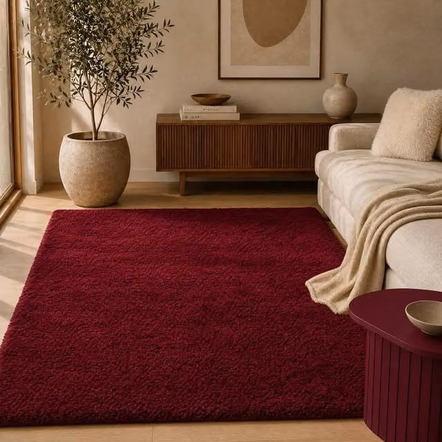 OHS Fluffy Teddy Rug Non Slip Soft Area Mat in Red, W: 120 cm, L: 170 cm