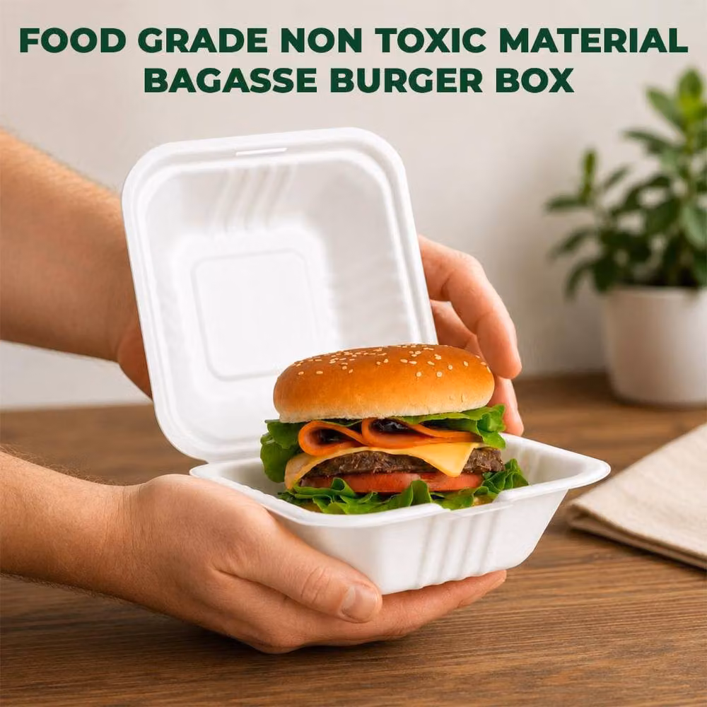 ECONX White Biodegradable Bagasse Clamshell Takeaway Burger Boxes, Pack of 50 – 6