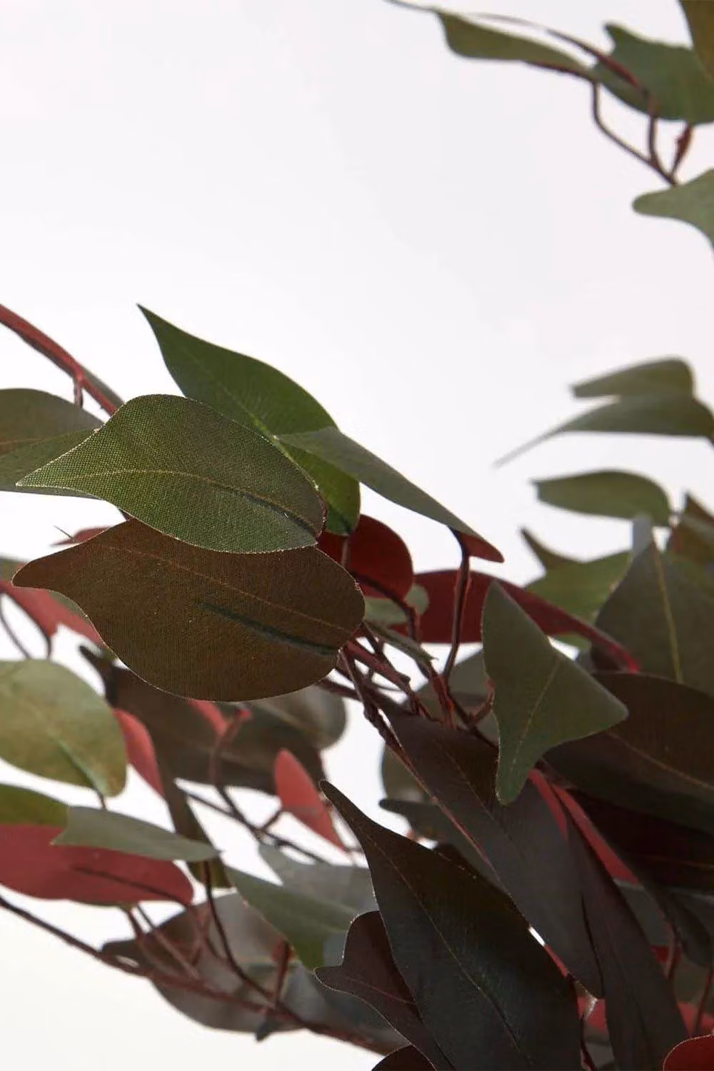 Homescapes Red and Green Artificial Capensia Tree with Real Wood Trunk, Height: 121.92 cm – 3