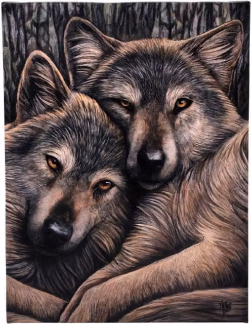 Lisa Parker Loyal Companions Wolf Art Canvas Plaque, Grey, W: 19 cm, H: 25 cm