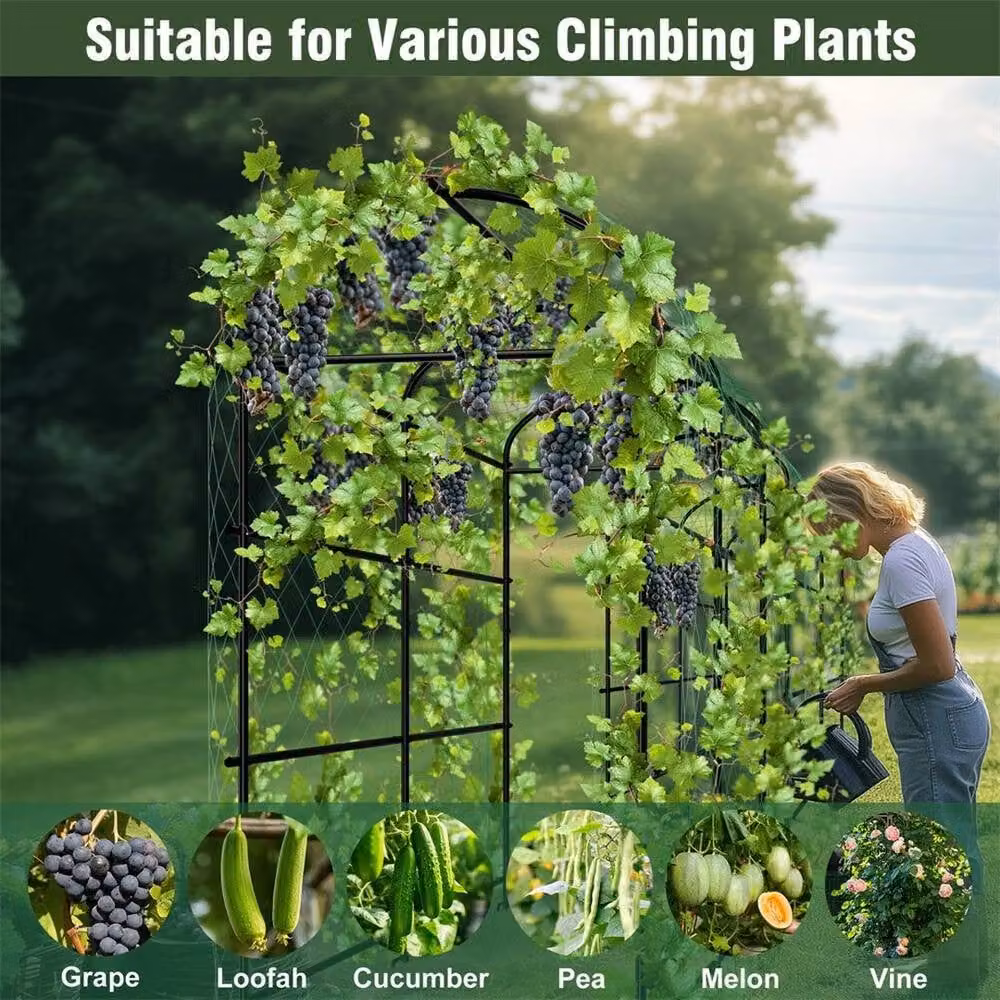FLAVORA XL Metal Garden Trellis Support Arch Arbor for Climbers and Grape Vines, Black, W/D/H: 15 x 15 x 100 cm – 3