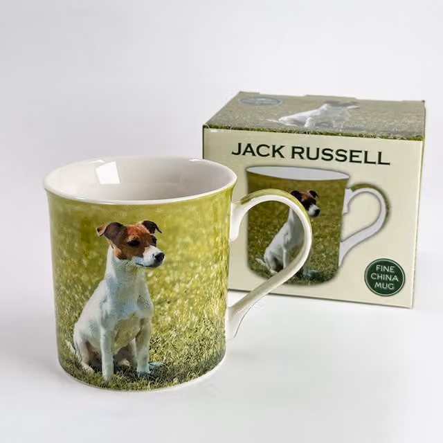 Leonardo Jack Russell Terrier Ceramic Mug with All Round Print, Green