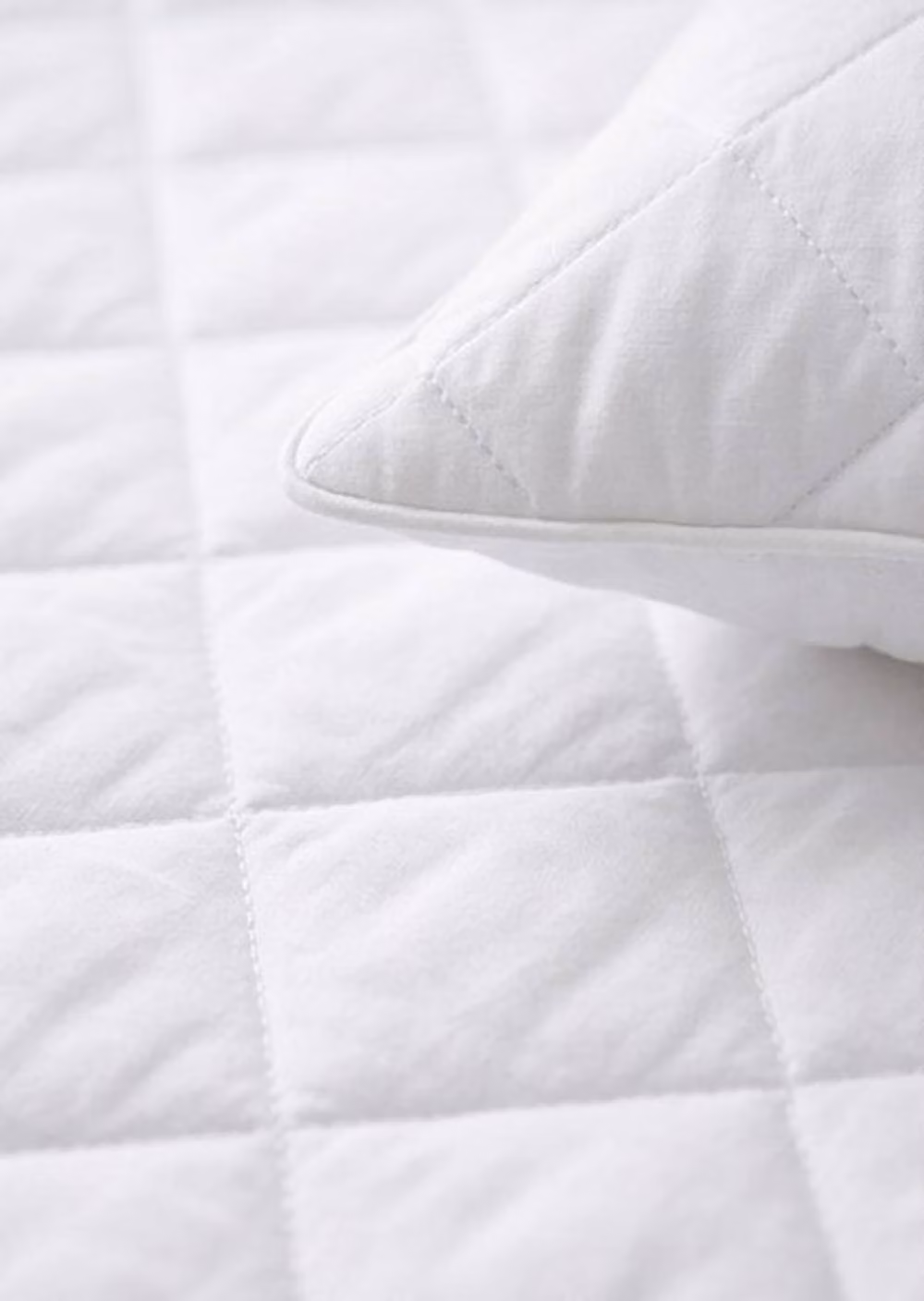 Rapport Home White Cotton Percale Fitted Mattress and Pillow Protector Set – 2