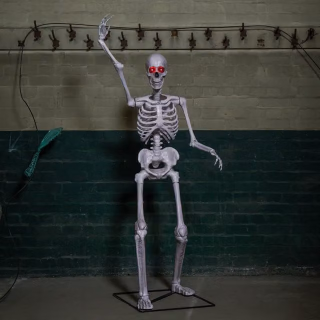 Samuel Alexander Grey Halloween Standing Skeleton with Posable Joints and Red LED Eyes, Height: 150 cm