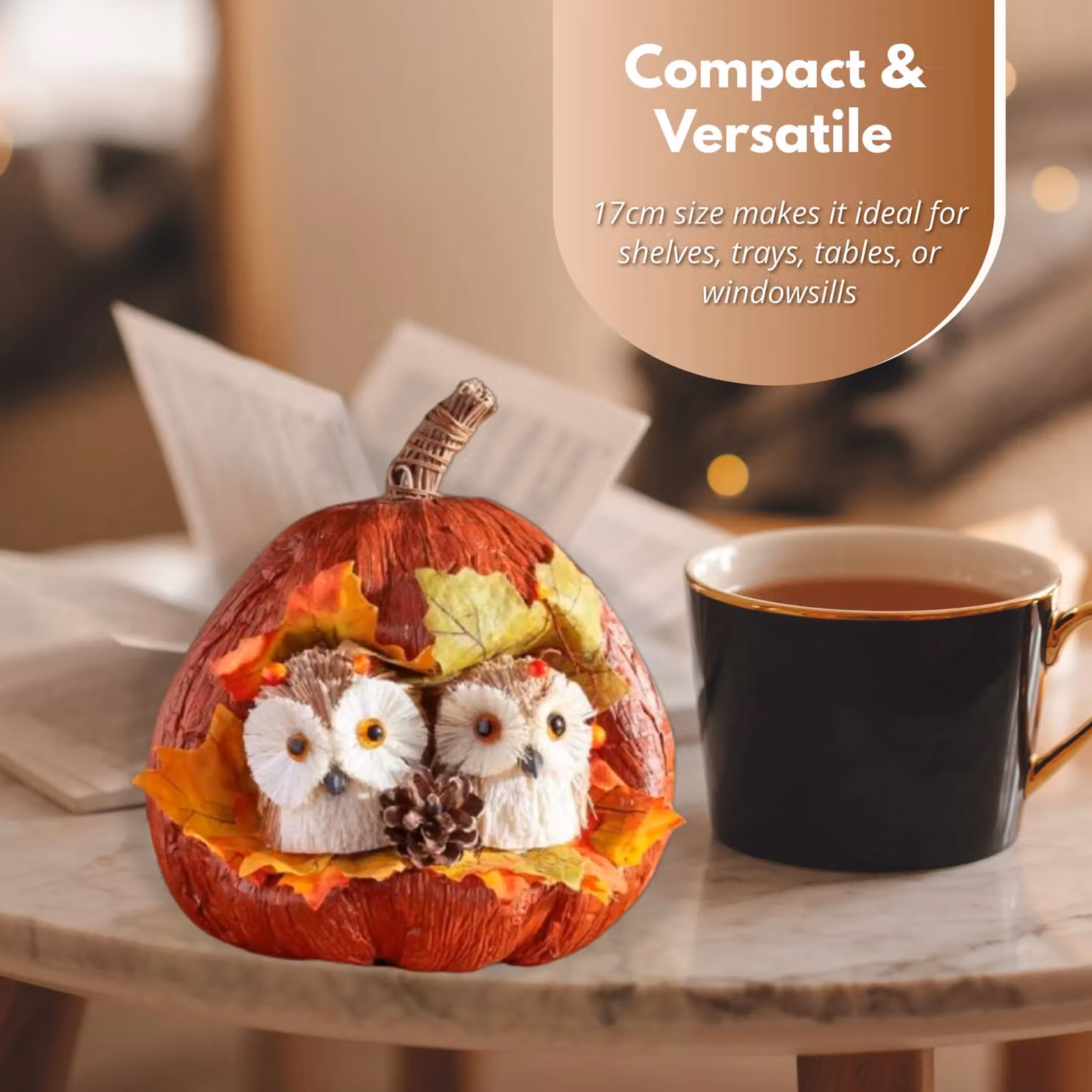 Marco Paul Orange Pumpkin and Owl Autumn Decoration with Rattan Details, Height: 17 cm – 4