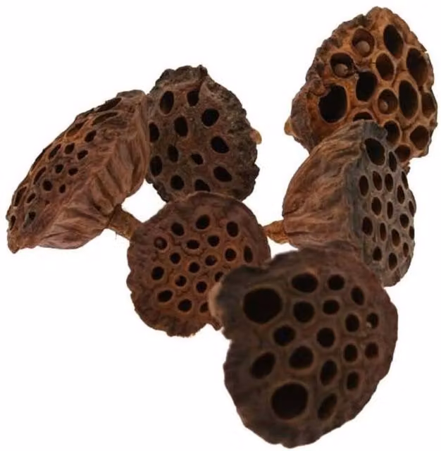 KDMD Large Brown Lotus Flower Christmas Hanging Ornament