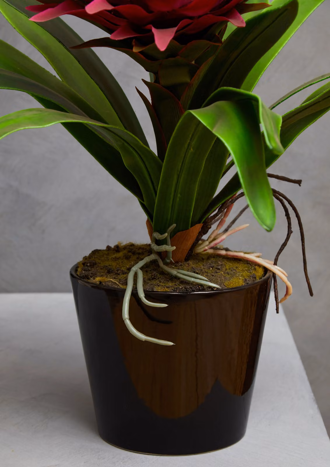 Orsina Pink Tropical Floral Plant in a Black Ceramic Tabletop Pot – 2