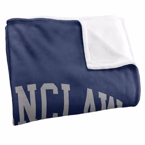 Warner Bros. Harry Potter Ravenclaw Quidditch Arch Super Soft Fleece Throw Blanket, Multicolour, W: 91.44 cm, L: 147 cm – 2