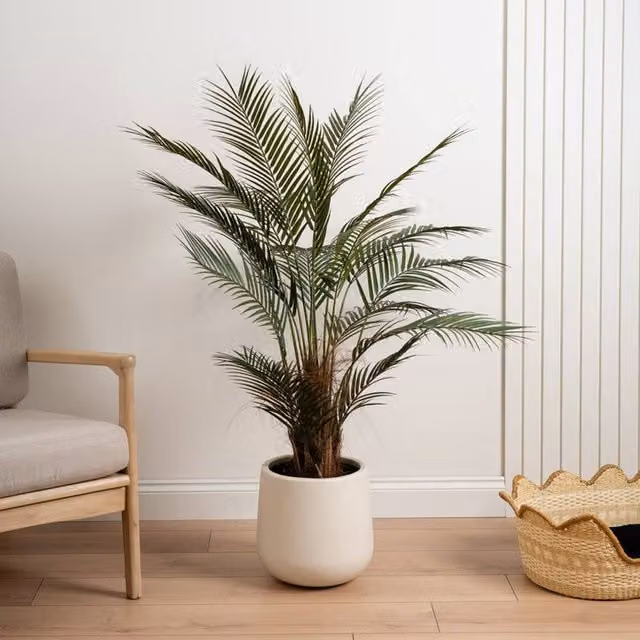 Scottish Everlastings Ltd 125 cm Palm Tree in a Green Round White Pot