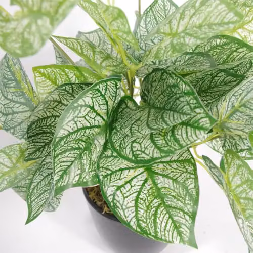 Leaf Design UK Realistic Artificial Caladium Potted Plant in Green, Height: 40 cm – 2