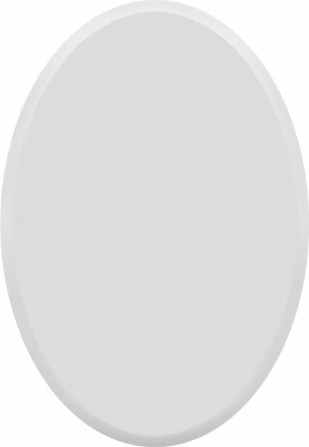 MirrorOutlet The Ovale Bevelled Oval Hanging Mirror in Silver and Black