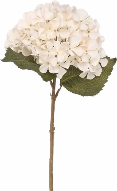 Kingsbury Gifts Balmoral Silk Hydrangea Stem, Cream and Beige, 45 cm