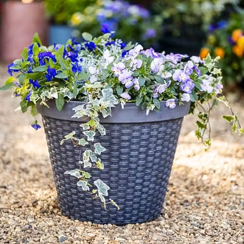 Garden Gear Wicker Style Stone Effect Planter, Grey, Diameter: 40 cm, Height: 30 cm – 4
