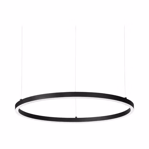 Netlighting Oracle Integrated LED Circle Ring Pendant Lamp in Black with 3000K Warm White Light