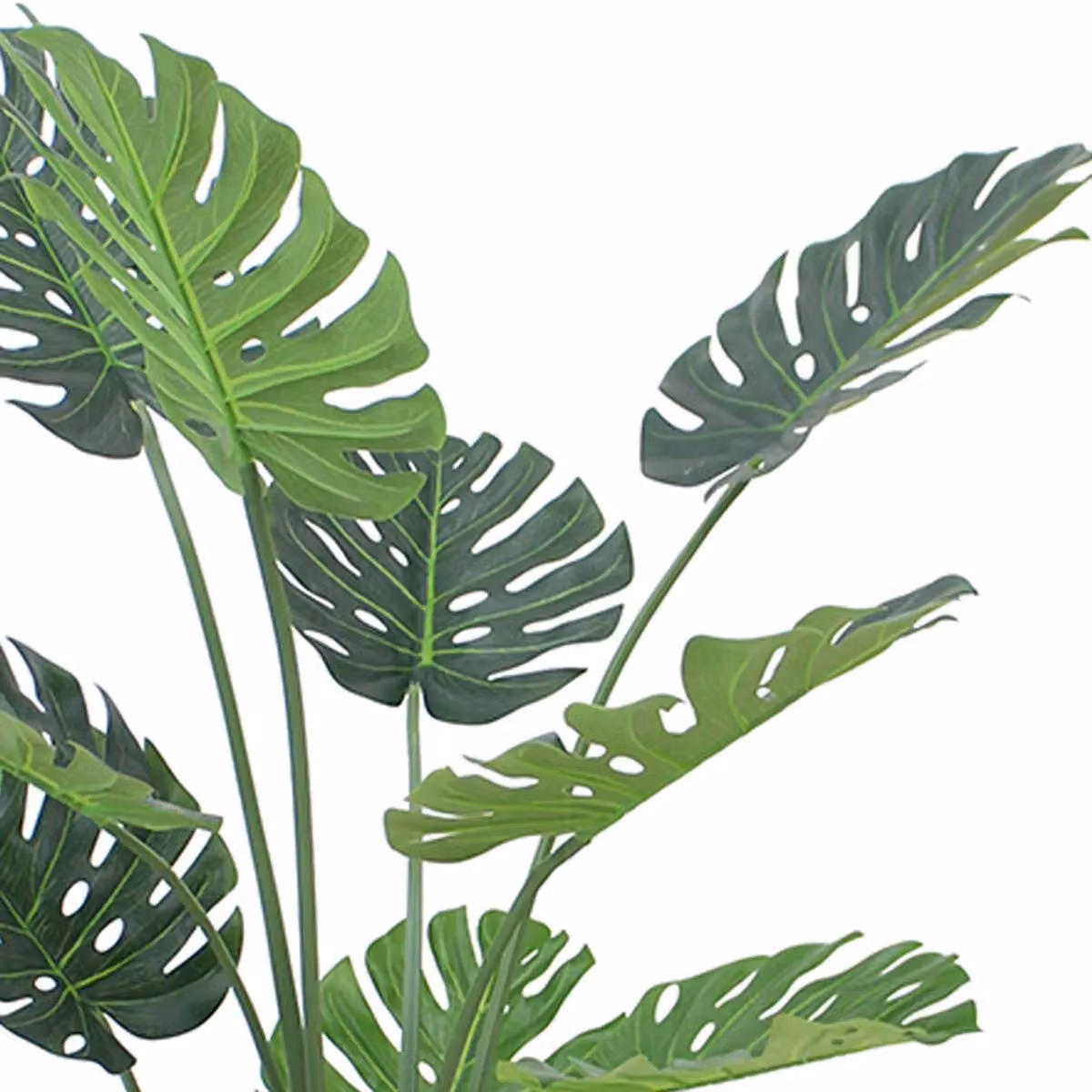 Botanik Premium Artificial Monstera Plant in Green with Black Pot, Height: 120 cm – 2