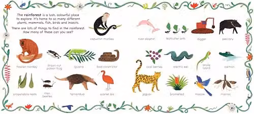 Ladybird A Walk in the Rainforest Lift-the-Flap Board Book, Multicolour – 4