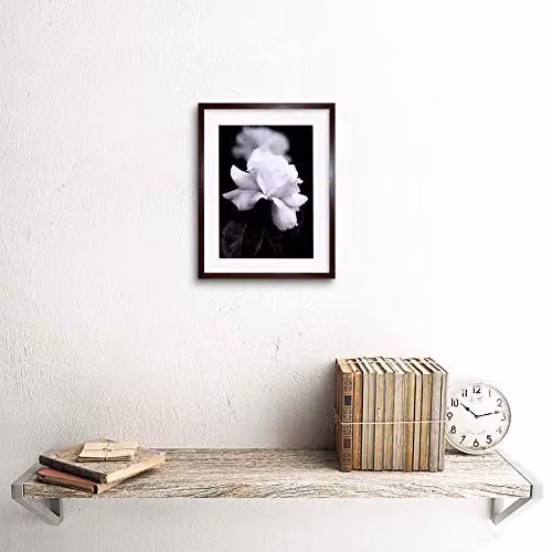 Wee Blue Coo Black and White Rose Petal Floral Framed Wall Art Photograph – 2