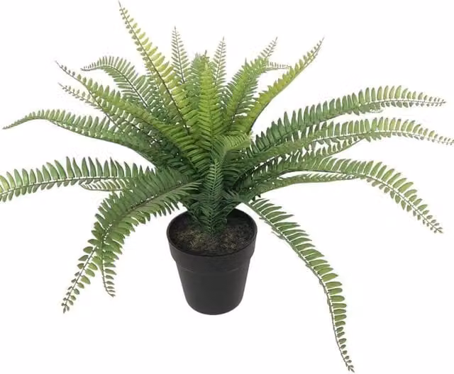 Botanica Green Artificial Fern Potted Plant