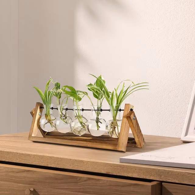 Garden Sanctuary 5 Glass Bulb Vase Set with Wooden Stand in Transparent and White
