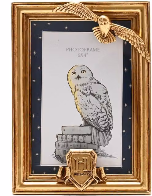 Warner Bros Harry Potter Hedwig Gold Metal Photo Frame, W: 15 cm, H: 15 cm, D: 1 cm