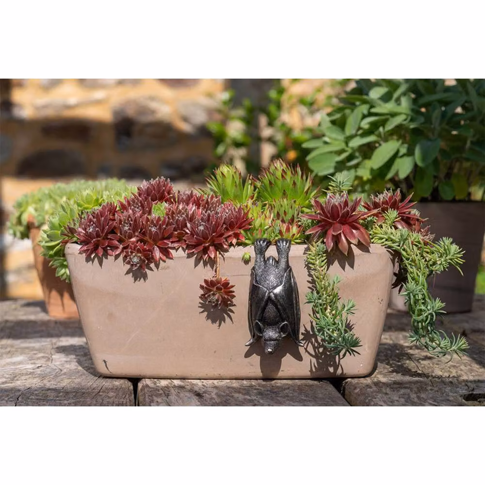 Jardinopia Bat Hanging Plant Pot Hanger in Bronze, L11 x W5.5 x H4.5 cm – 8