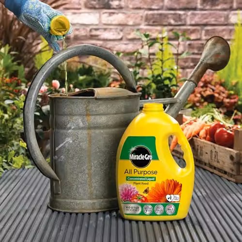 Miracle-Gro All Purpose Liquid Plant Food and Tonic, 2.5l – 3