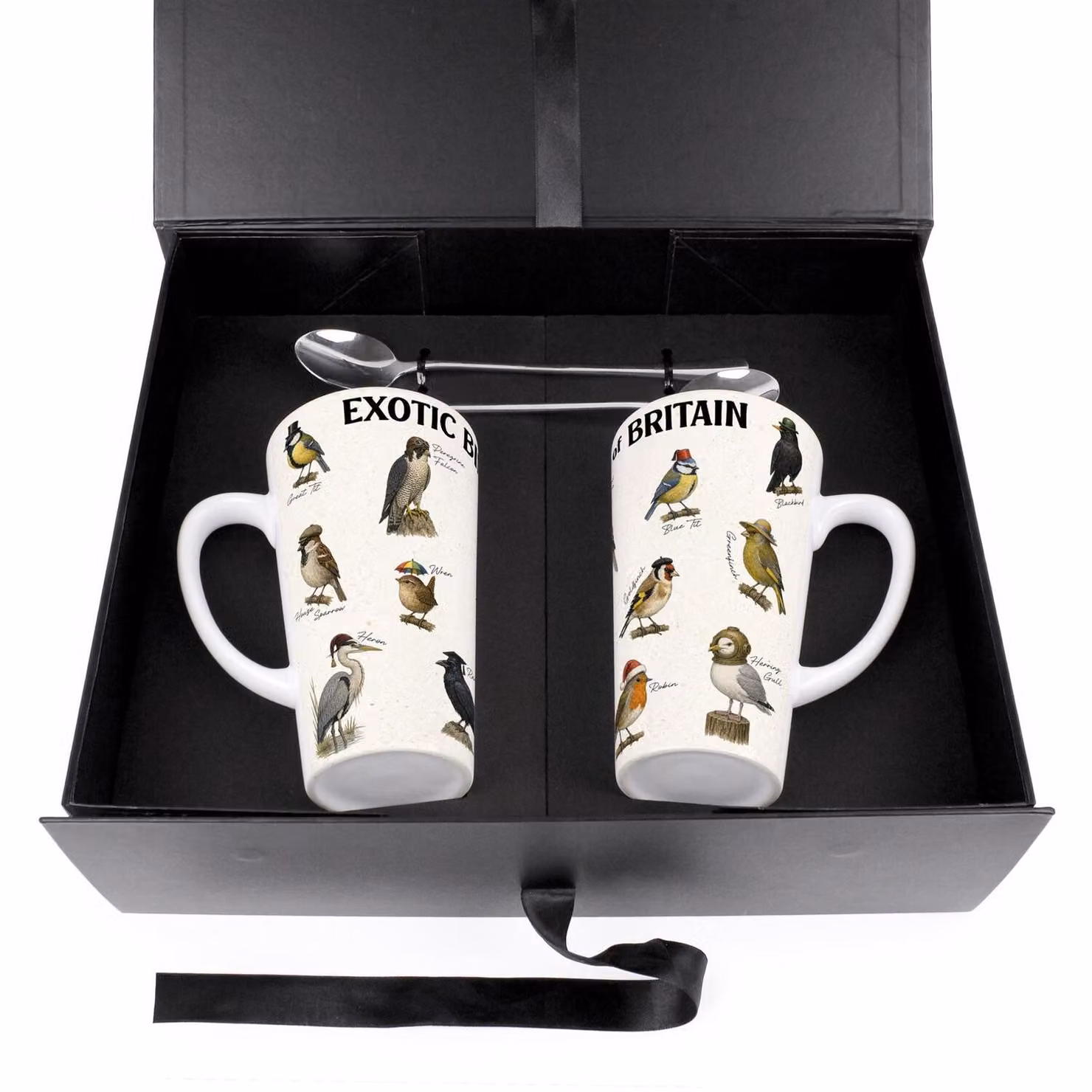 Purely Home Exotic Birds of Britain Multicoloured Ceramic Latte Mug Set – 6
