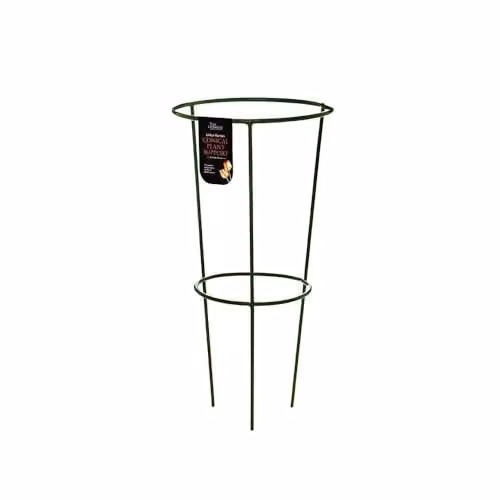 Tom Chambers Urban Green Conical Garden Plant Support Ring, Green, Diameter: 20 cm – 1
