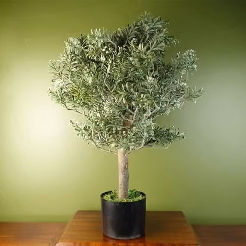 Botanik Realistic Green Artificial Potted Topiary Tabletop Tree H 70 x W 40 x D 40 cm – 1