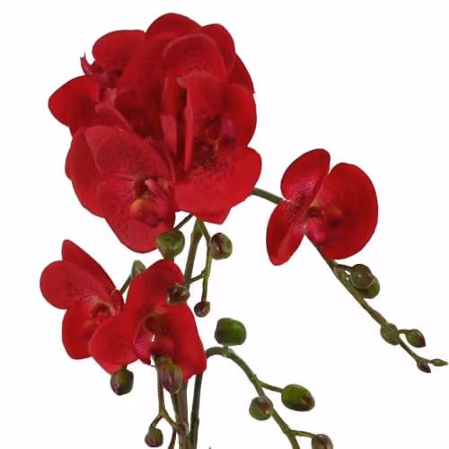 Leaf Design UK Red Leopard Phalaenopsis Artificial Orchid in a Gold Pot, Height: 50 cm – 3