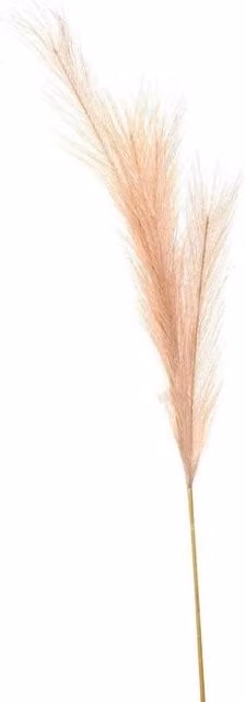 Hill Interiors Artificial Pampas Grass Flower in Beige