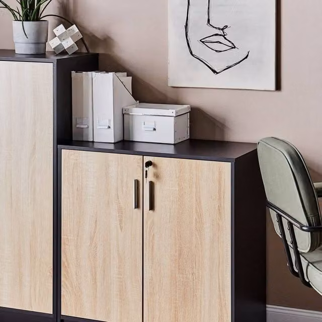 Wyld and Coco Modern Lockable Two Door Freestanding Storage Cabinet in Brown and Black
