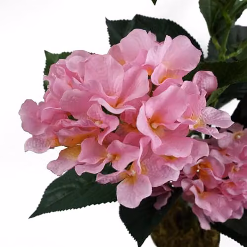 Leaf Design UK Potted Pink Hydrangea Artificial Plant, Height: 55 cm – 4