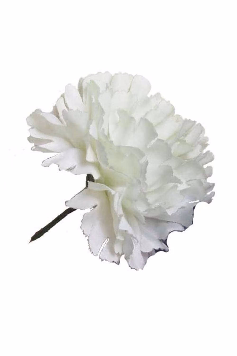 KDMD White Single Carnations 2 Pack of 12 Stems – 2