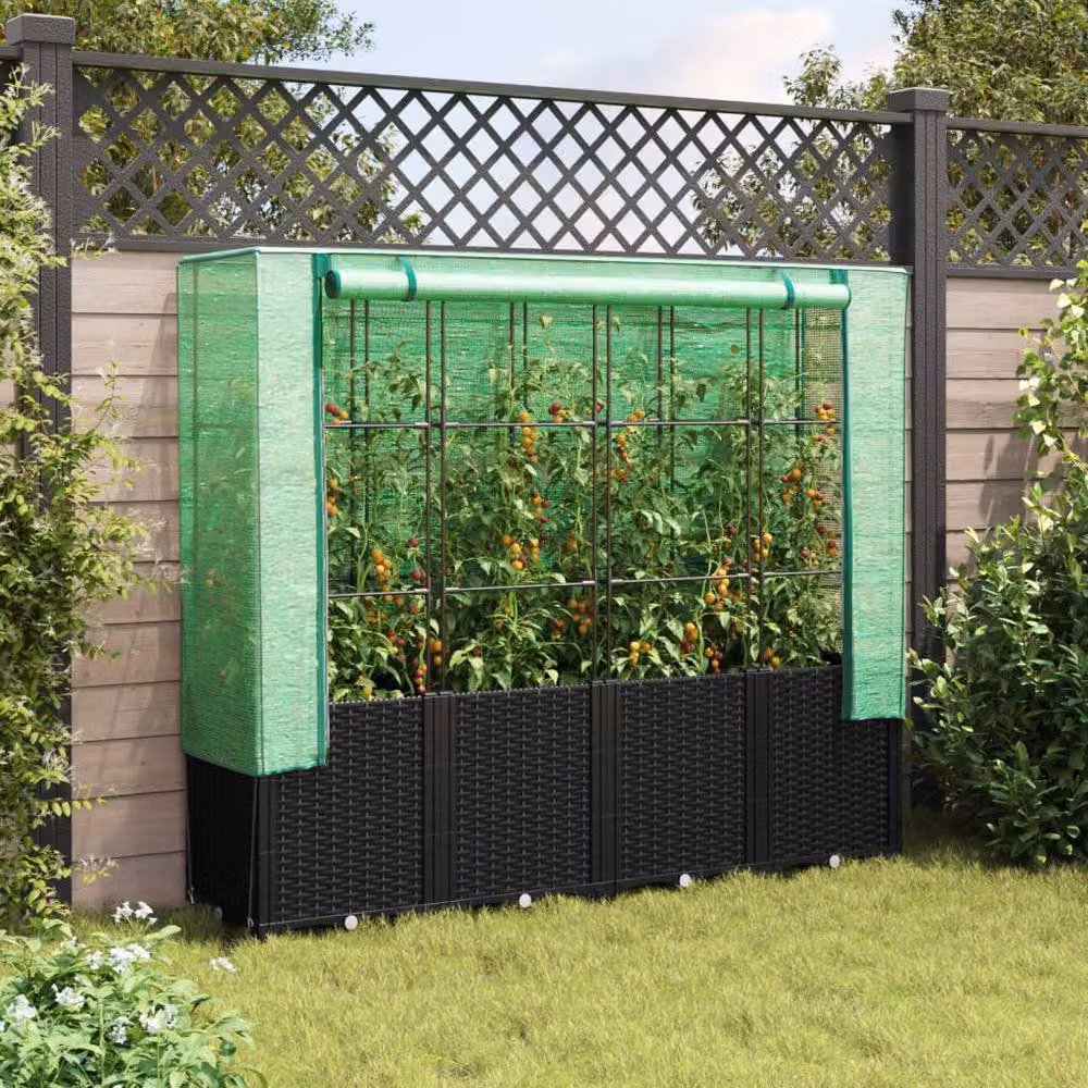 Berkfield Home Raised Bed with Greenhouse Cover in Black Rattan Look, W/D/H: 160 x 40 x 153 cm – 2