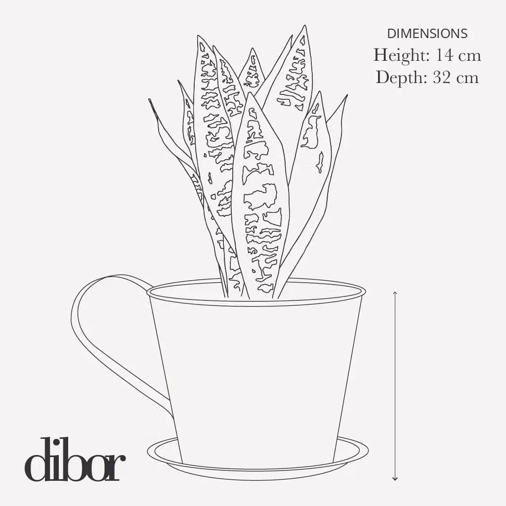 Dibor Vintage Cream Tea Cup Planter in White, Dia: 32 cm, H: 14 cm – 5