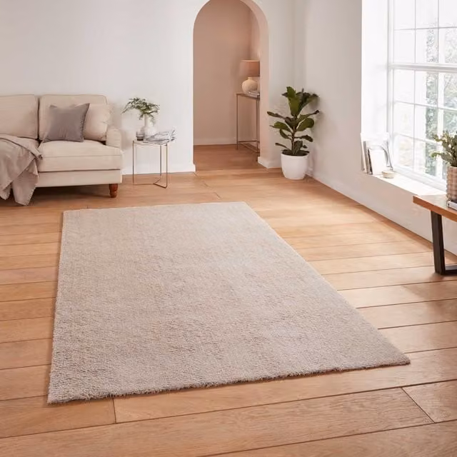 Terrys Kara Washable Modern Rectangular Polyester Rug in Silver and Beige