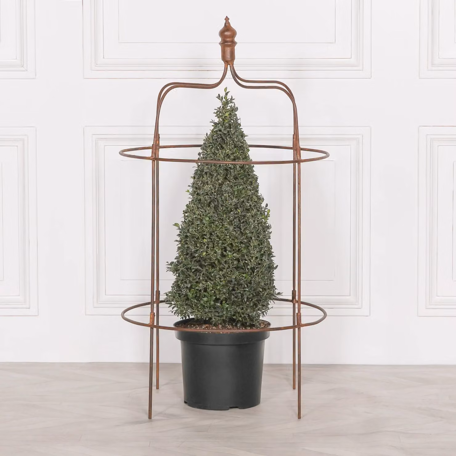 Glasstone Rusty Iron Obelisk Plant Support in Brown, H 112 cm x W 61 cm x D 61 cm – 2