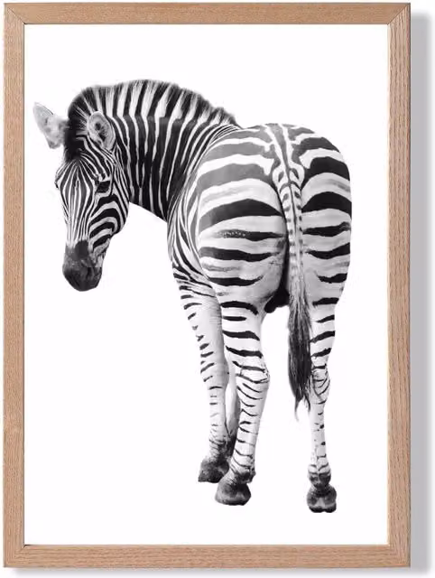 ARTZE Cheeky Zebra Animal Black and White Photo Framed Print with Oak Frame, A3