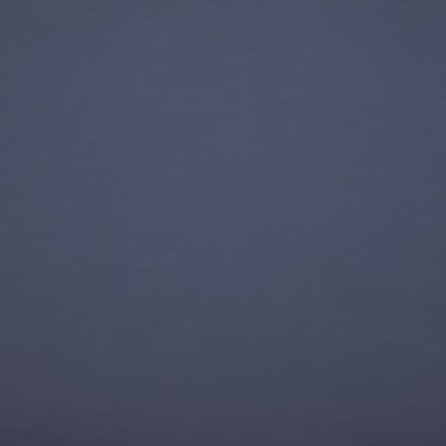 Terrys Plain Navy Blue Cotton Adult Towel