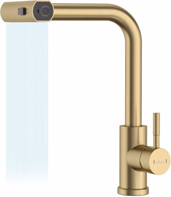Appaso Gold Stainless Steel Kitchen Tap with Pull Out Spray and Swivel Spout