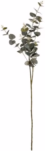 Hill Interiors Artificial Cineraria Eucalyptus Spray in Green