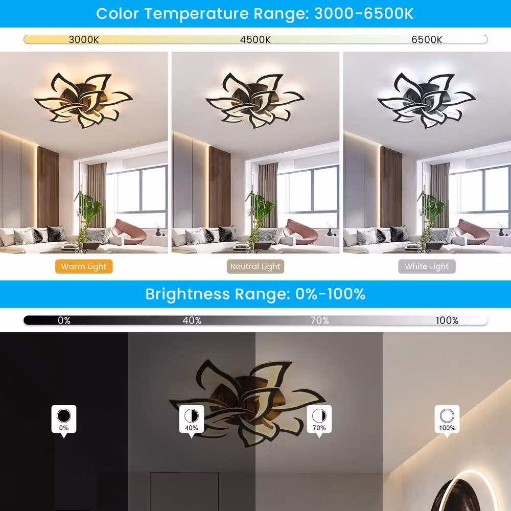 Pheashine Modern LED Ceiling Light in Black, Dimmable with Remote Control, Diameter: 80 cm – 2
