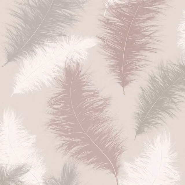 Arthouse Sussurro Feather Wallpaper in Pink