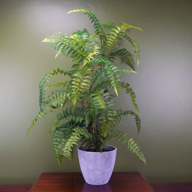 Artificial Green Leaf Tree Fern Tabletop Potted Plant in Round Plastic Planter