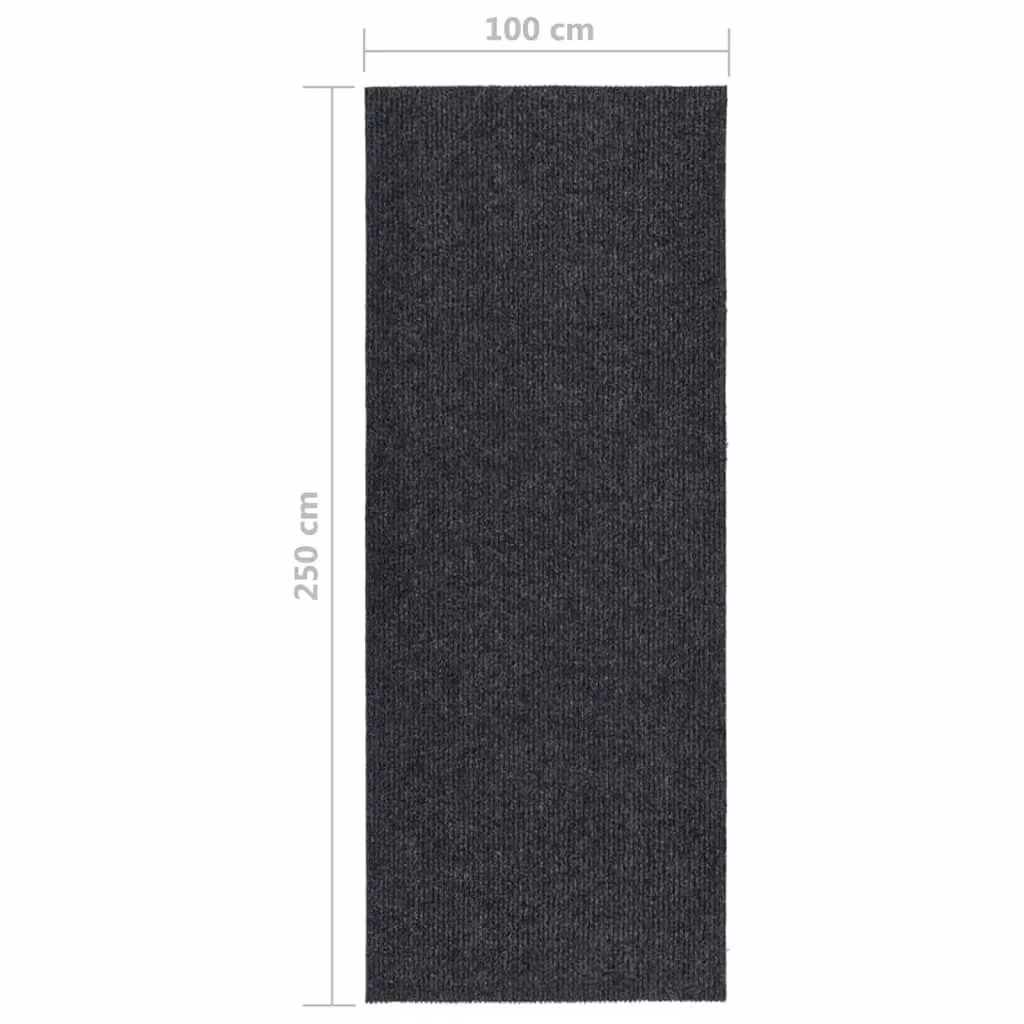 Berkfield Home Dirt Trapper Carpet Runner in Anthracite Black, W: 100 cm, L: 250 cm – 2